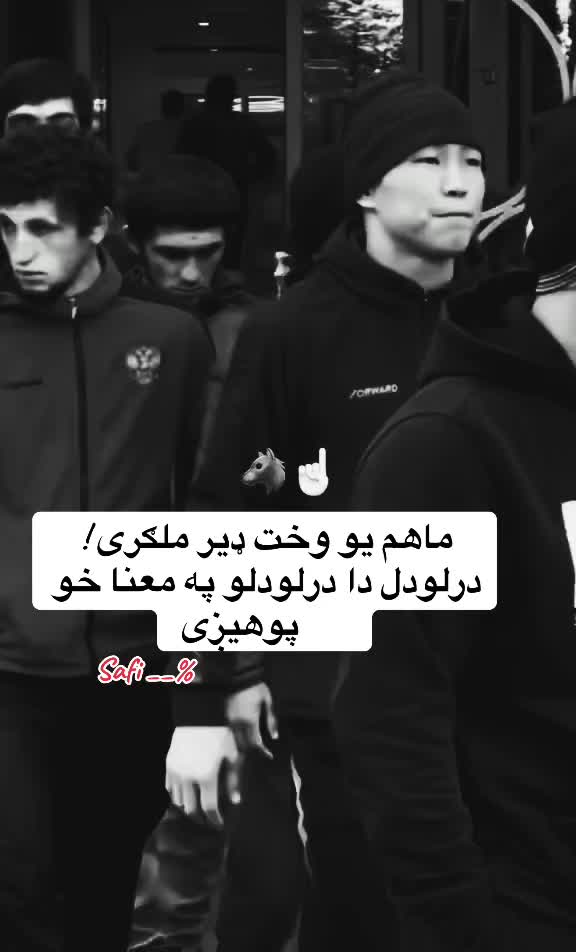 @safi.tg2026