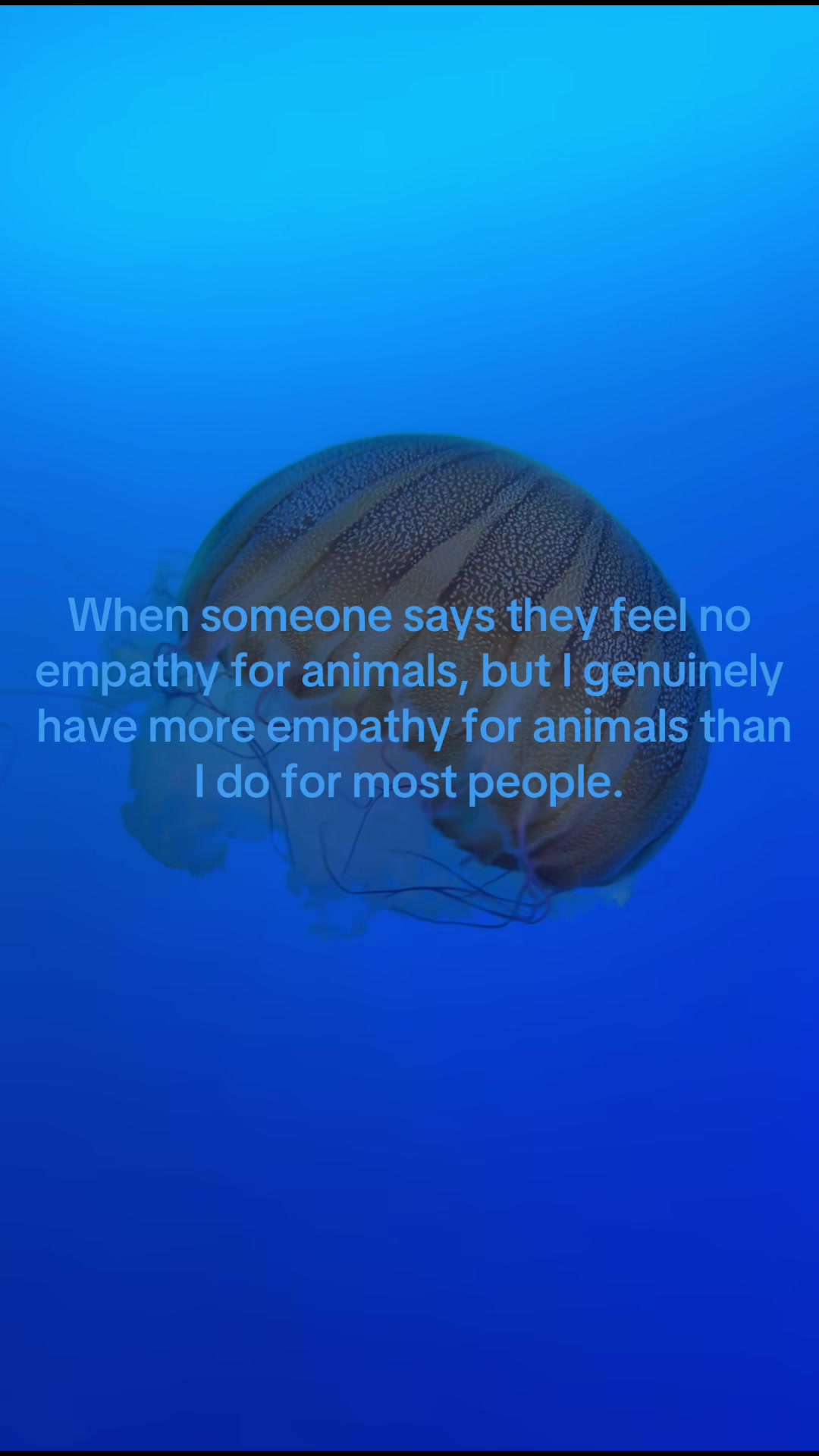 @the rescuers