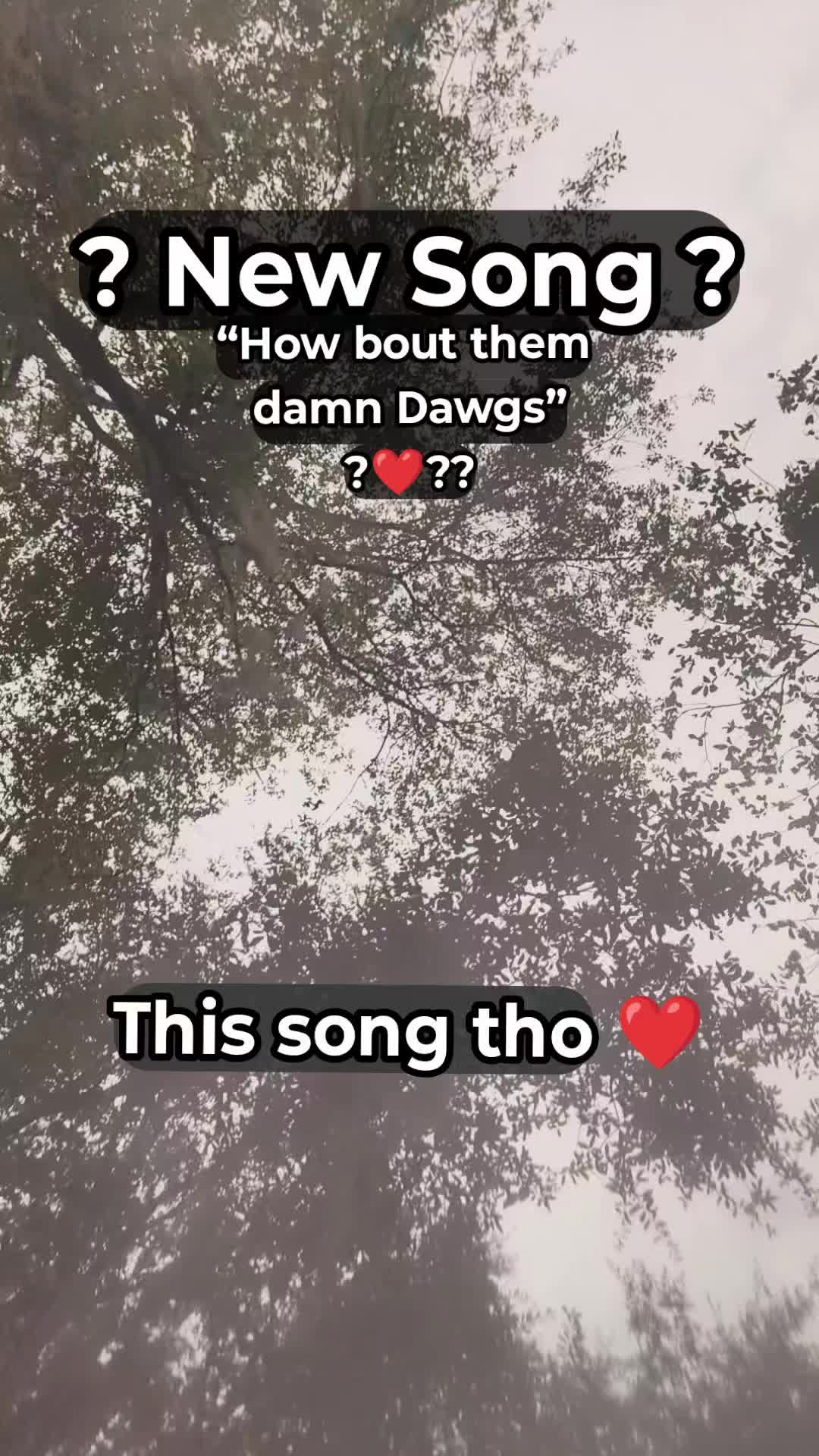 @TMAC❌️ tammymcconnell76