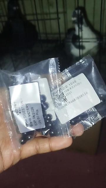 @KALAPATIDS SHOP 🕊️