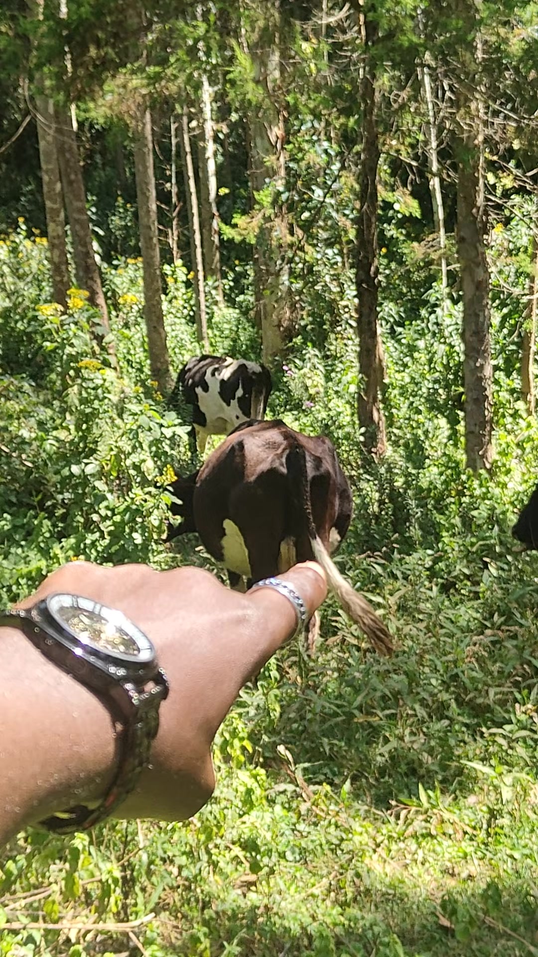 @FLAPAH_NYAHURURU🧢