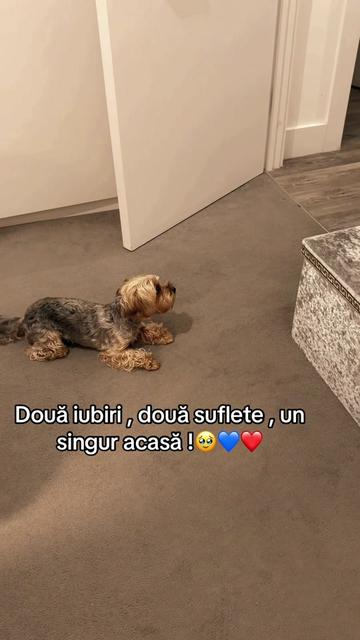 @Diana Andreea