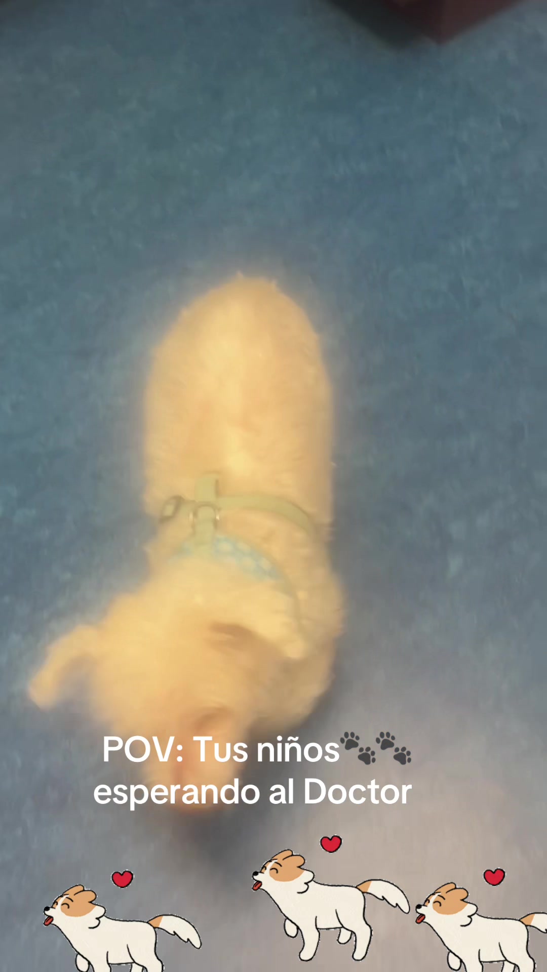 @los3huevertos