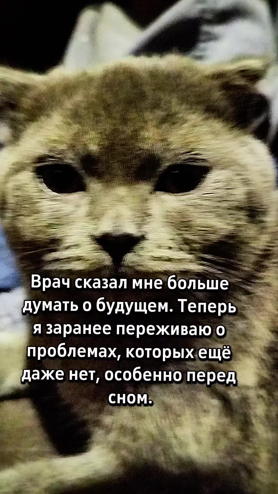 @😻Риччи&Джесси🐈Масик👼&Андрей