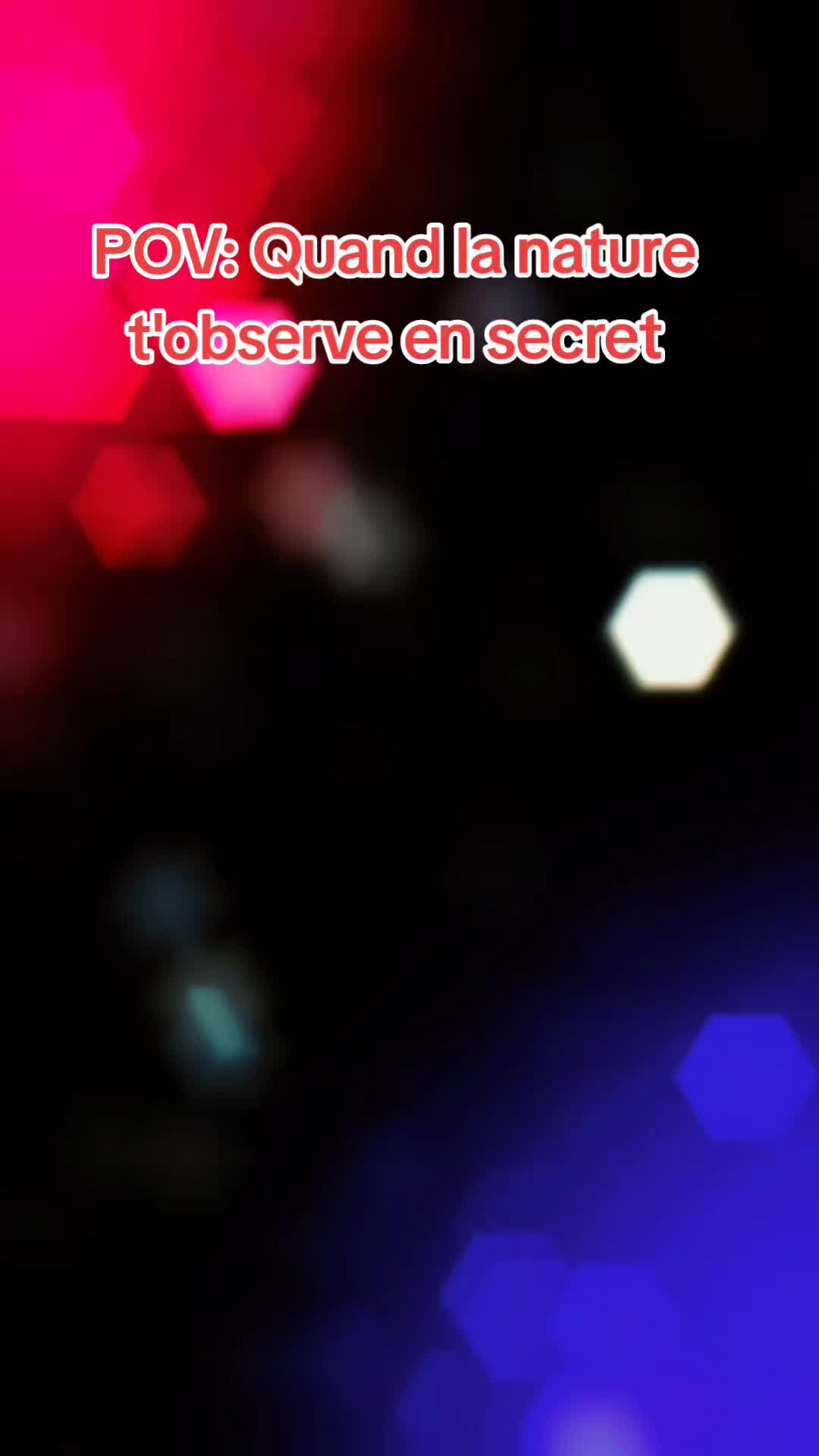 @Sousou