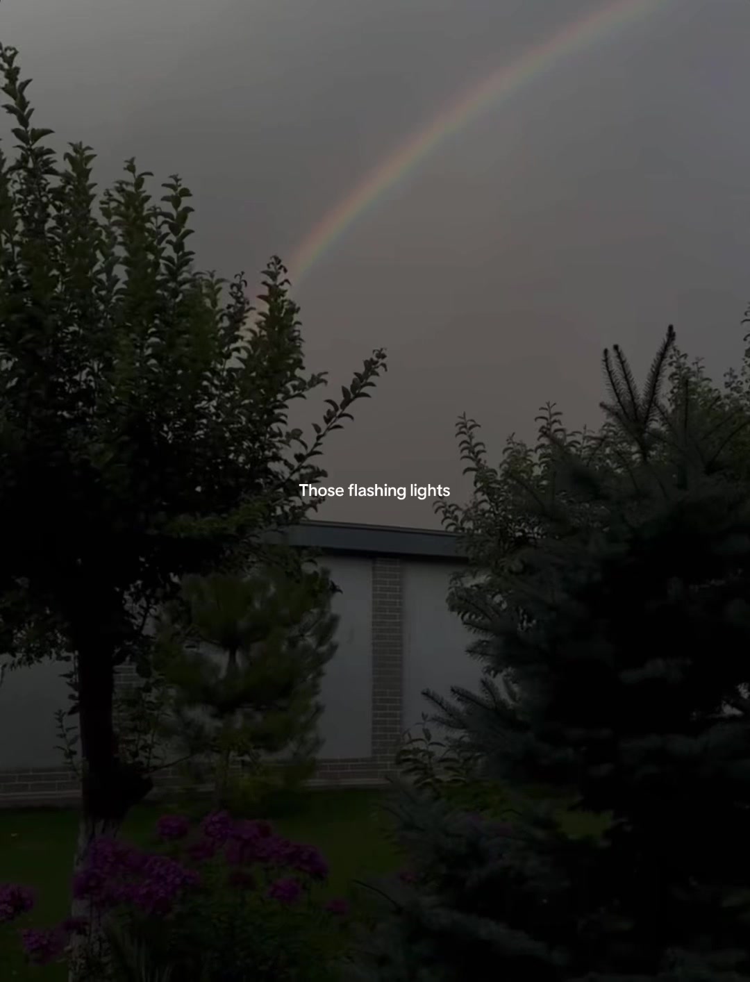@Luca