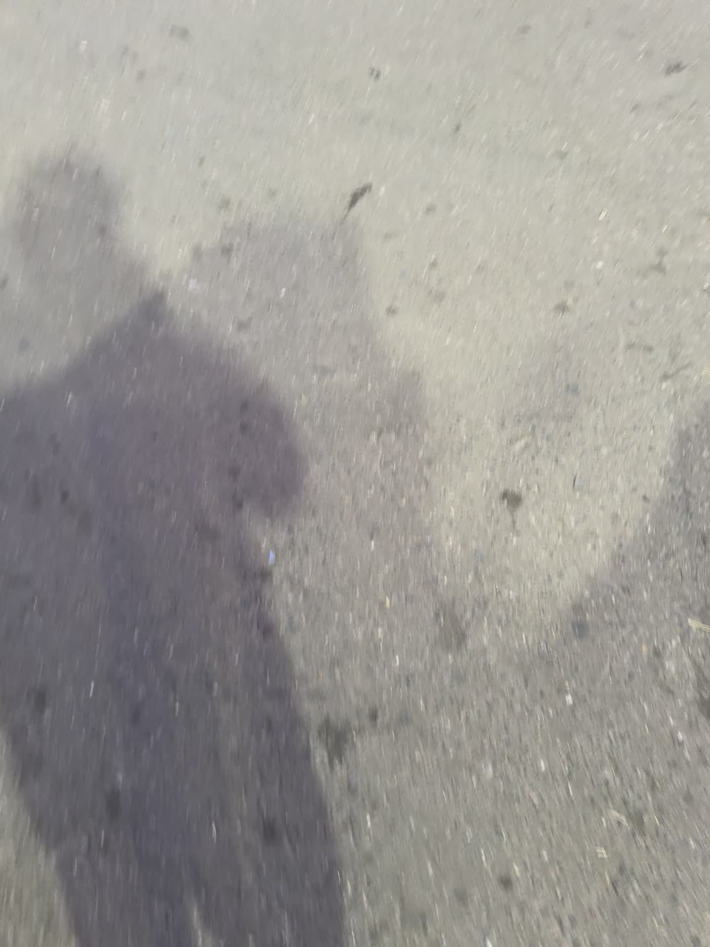@005user