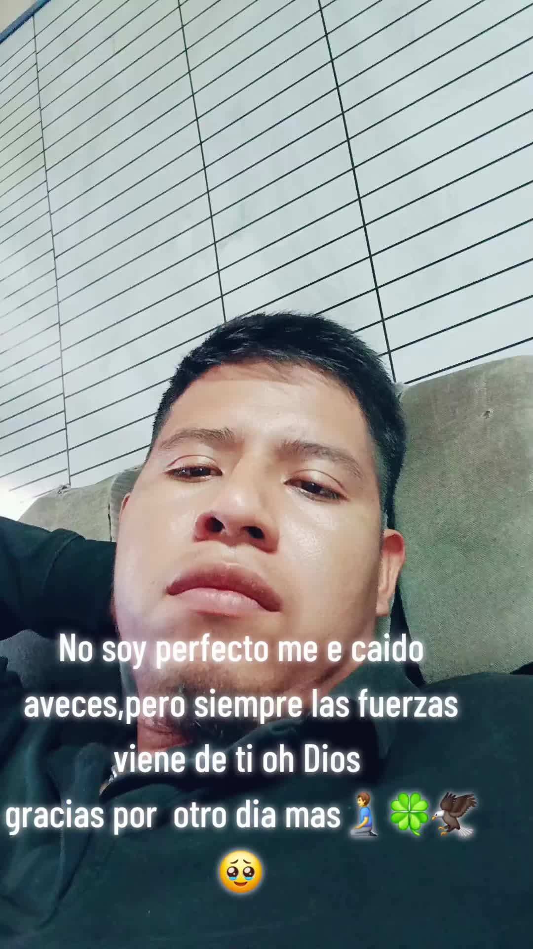 @🍀melodía selestial🎹🦅🍀🧎♂️