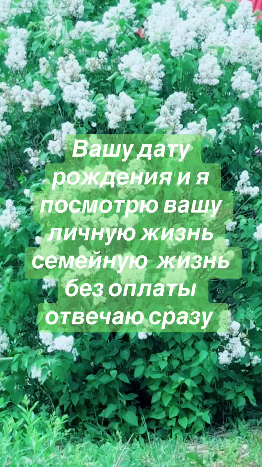@ясновидящая бабушка Рая