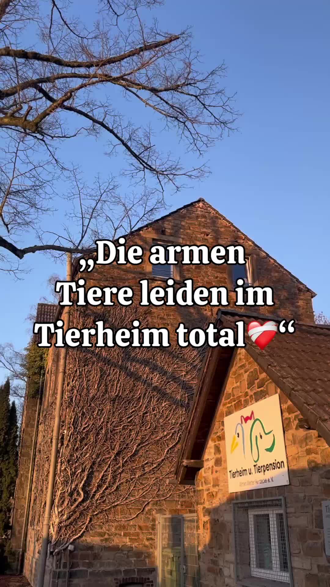 @Tierheim Witten e.V.