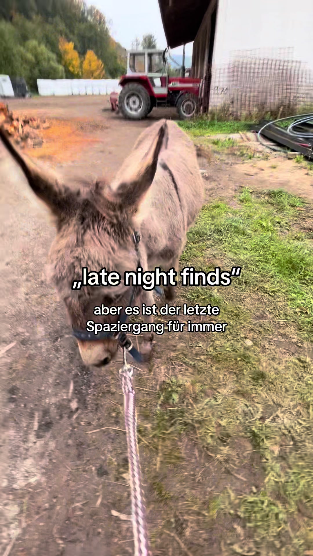 @karduck_girliesss