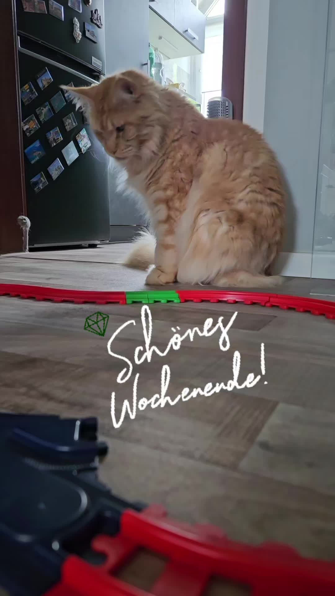@❤️Janet,Teddy und Blümchen❤️