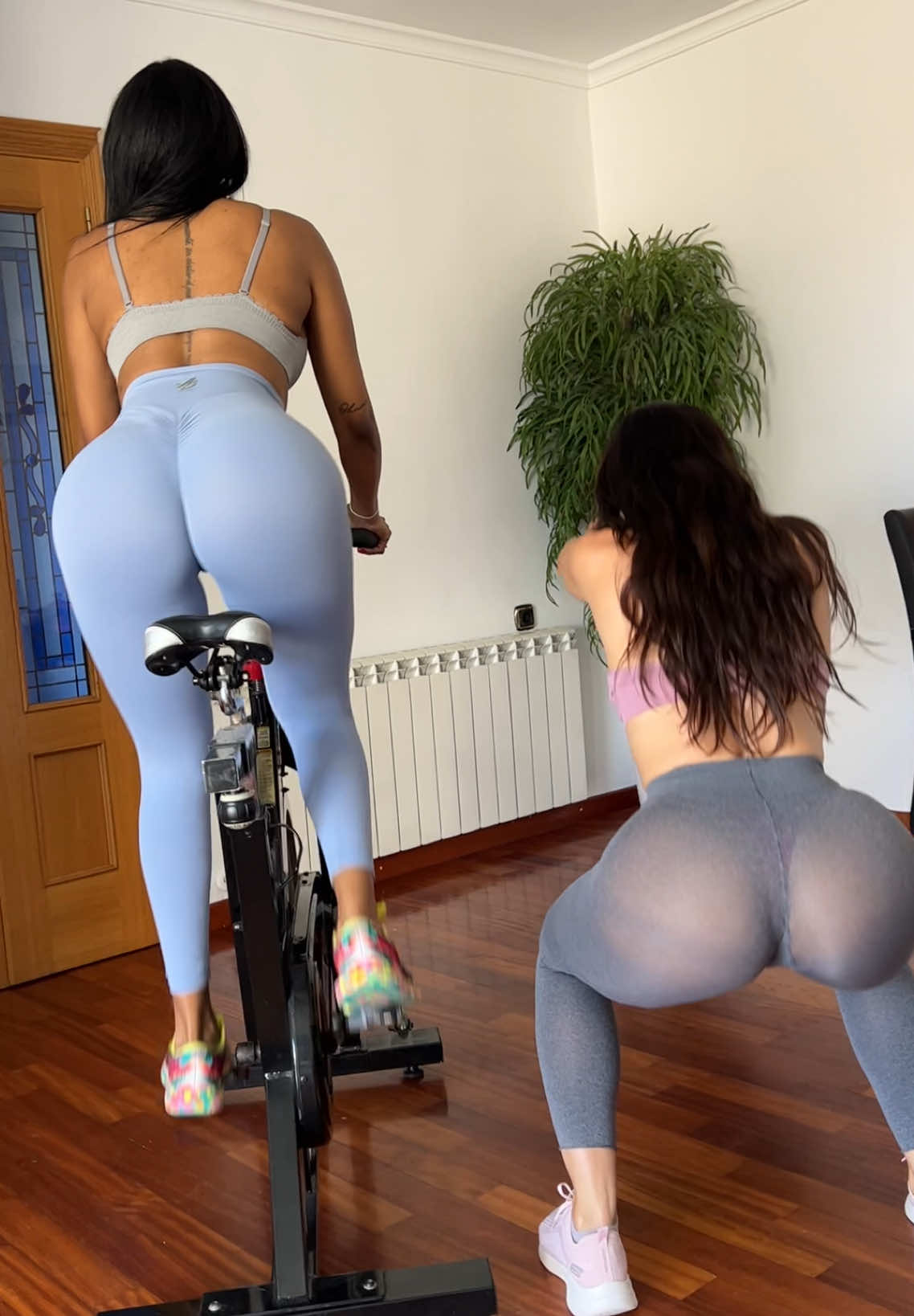 @chicasgimnasio