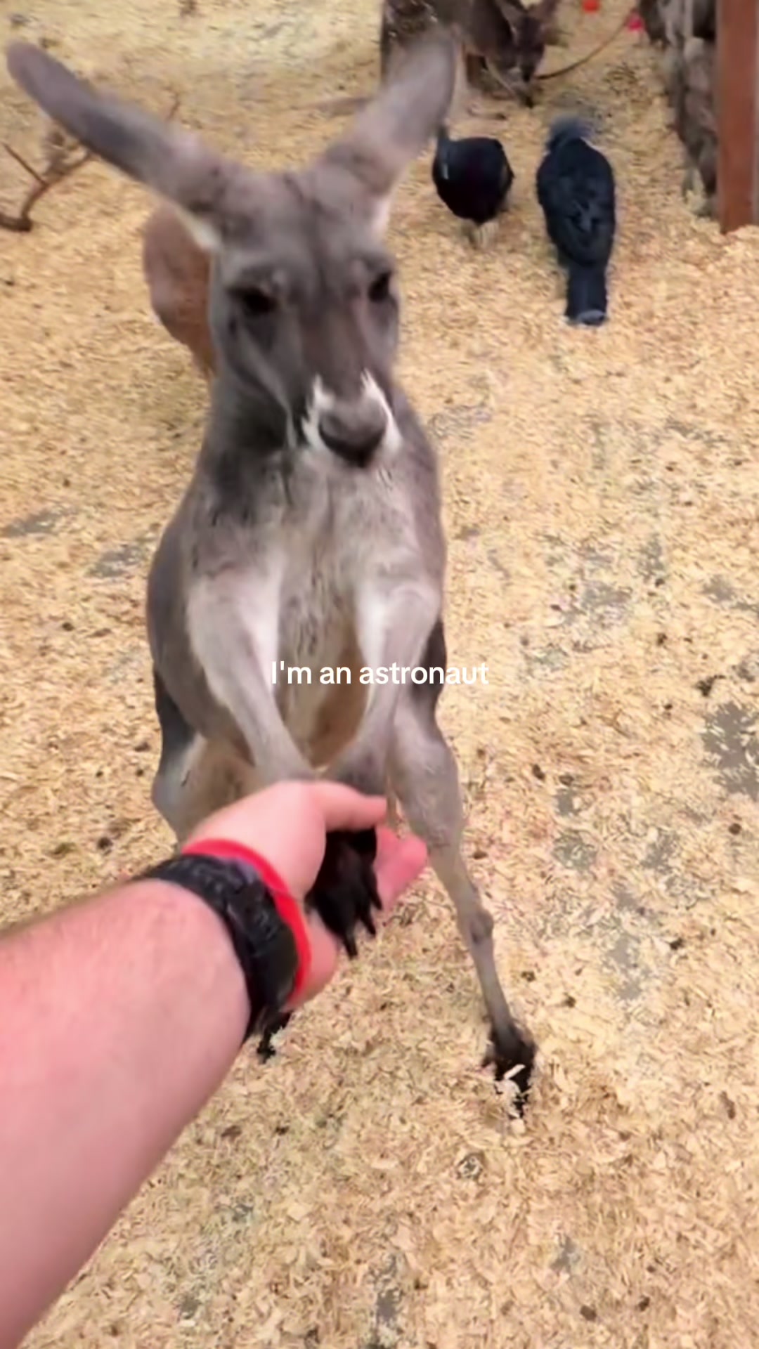 @d_gatorboy