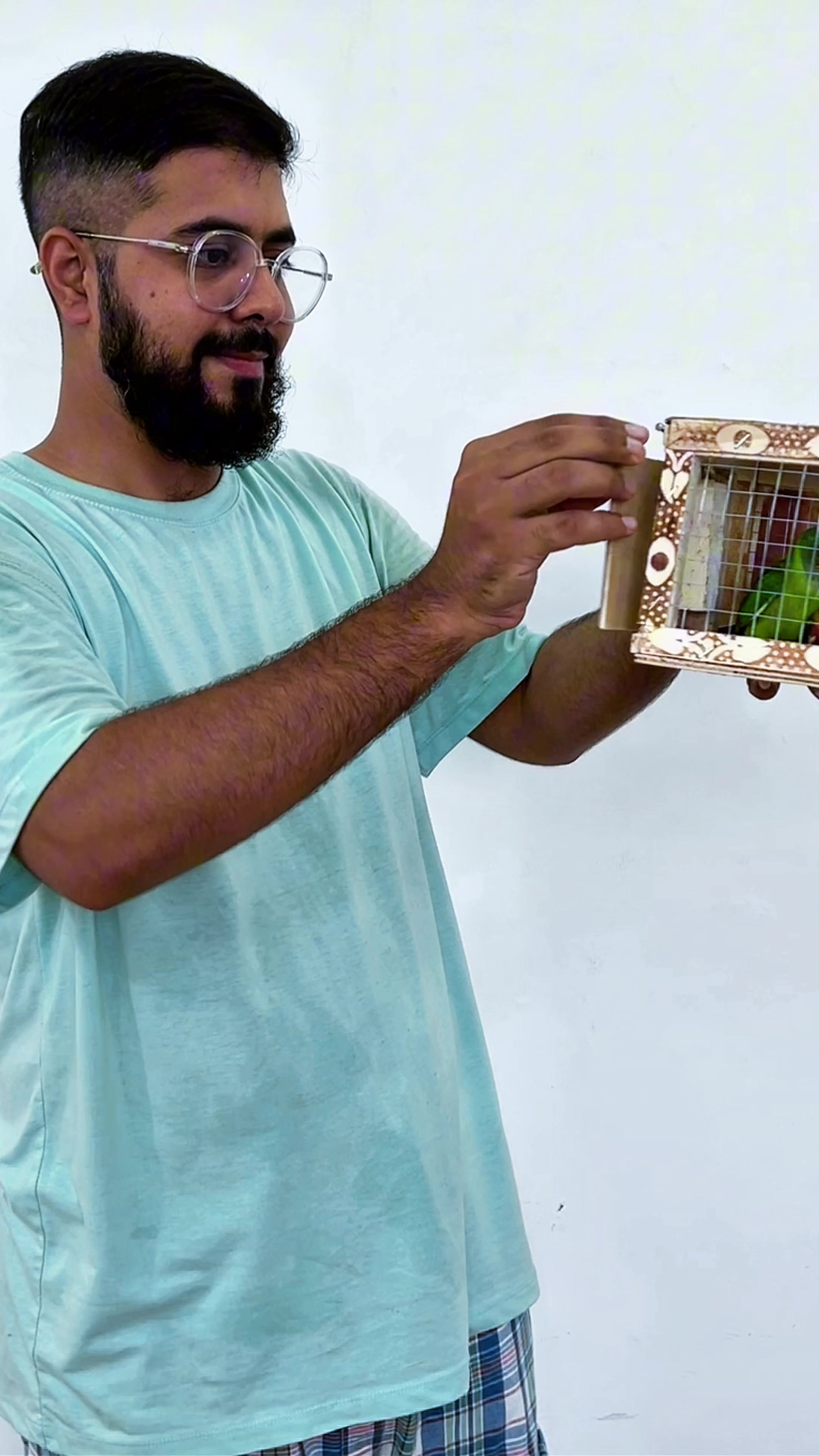 @Zozi Aviary