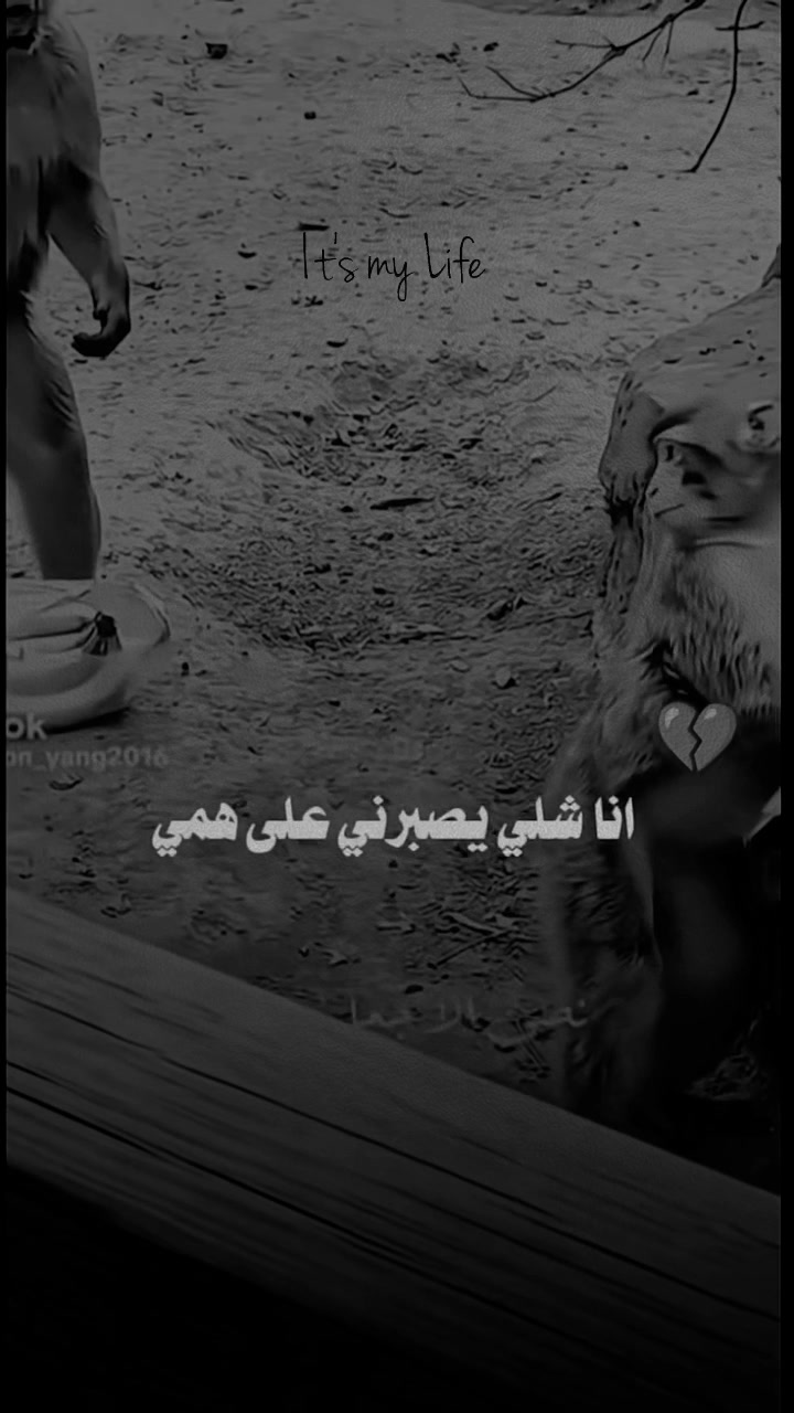@Meeme Cute