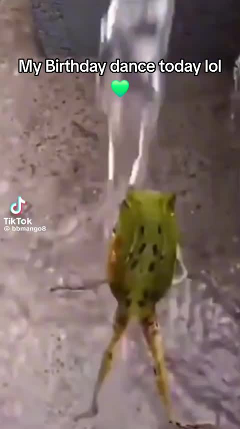@Countrymomma1776-35🐸❌️