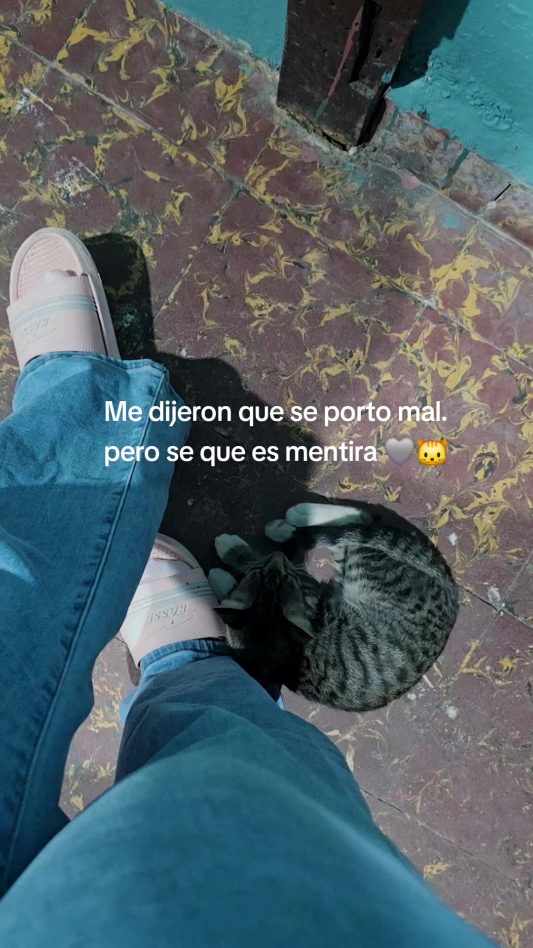 @La sysy_J