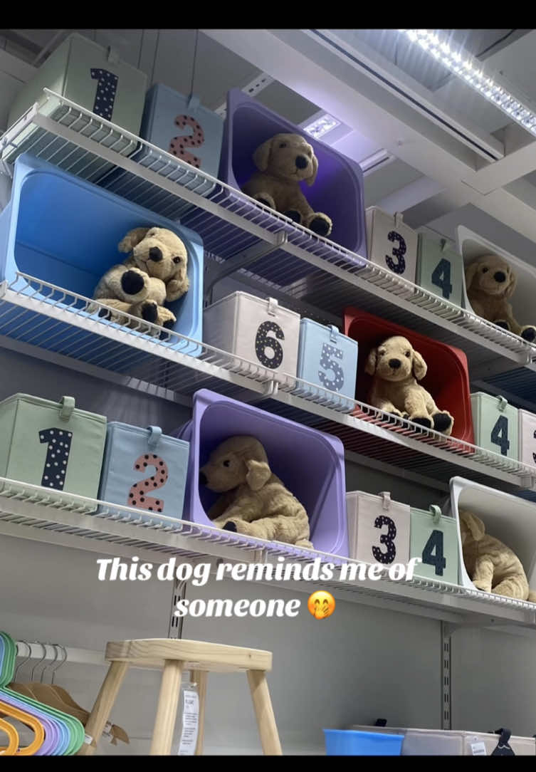 @[Dani]