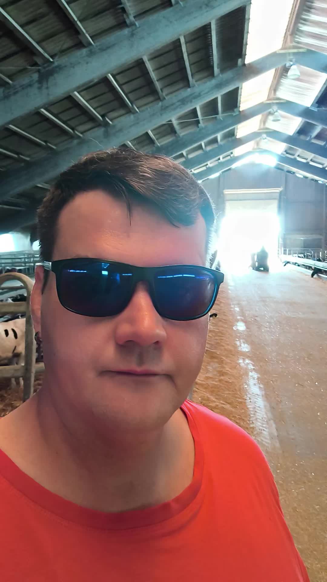 @Doktor Muh