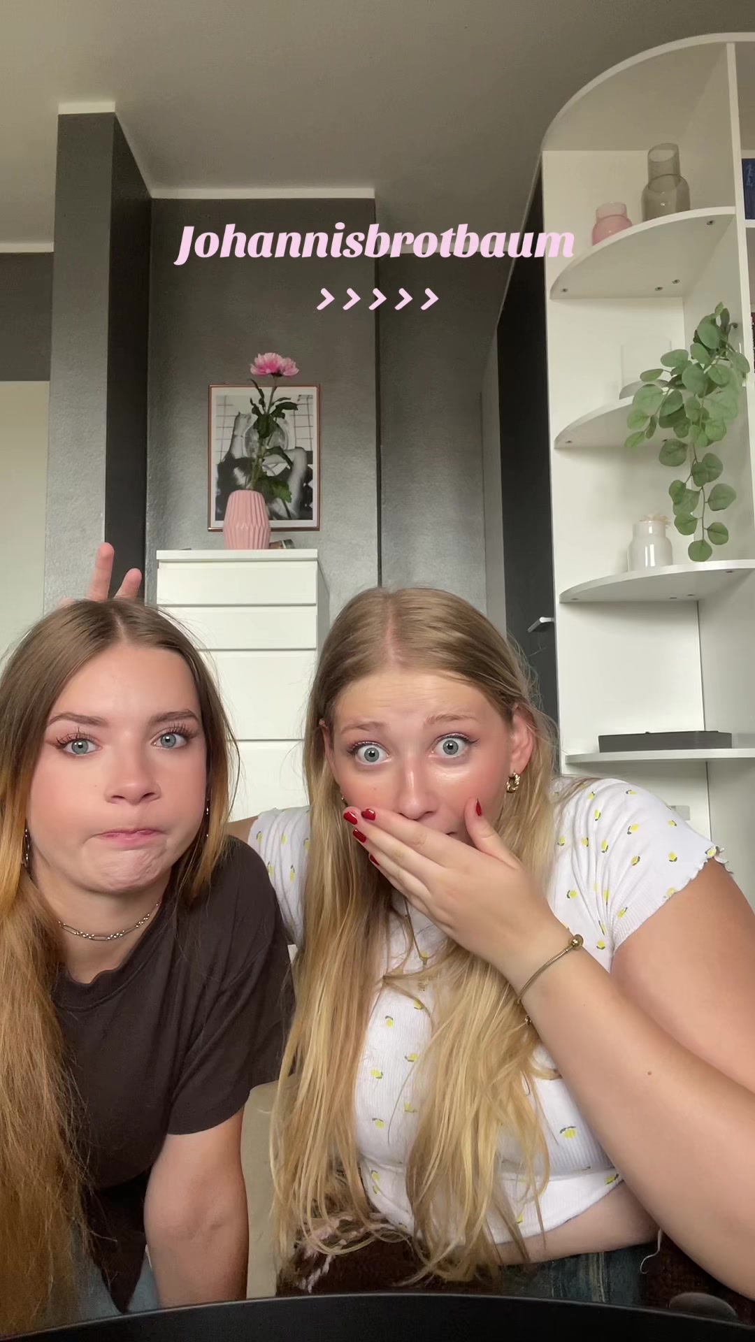 @FittenTitten