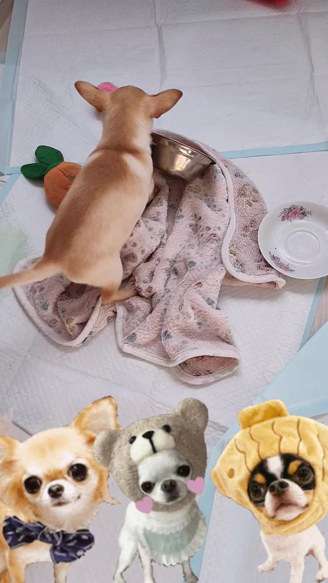 @๐บ๊ฅ๐บ ๐๐จ๐ฏ๐_๐๐ข๐ฑ๐ข ๐บ๊ฅ๐บ