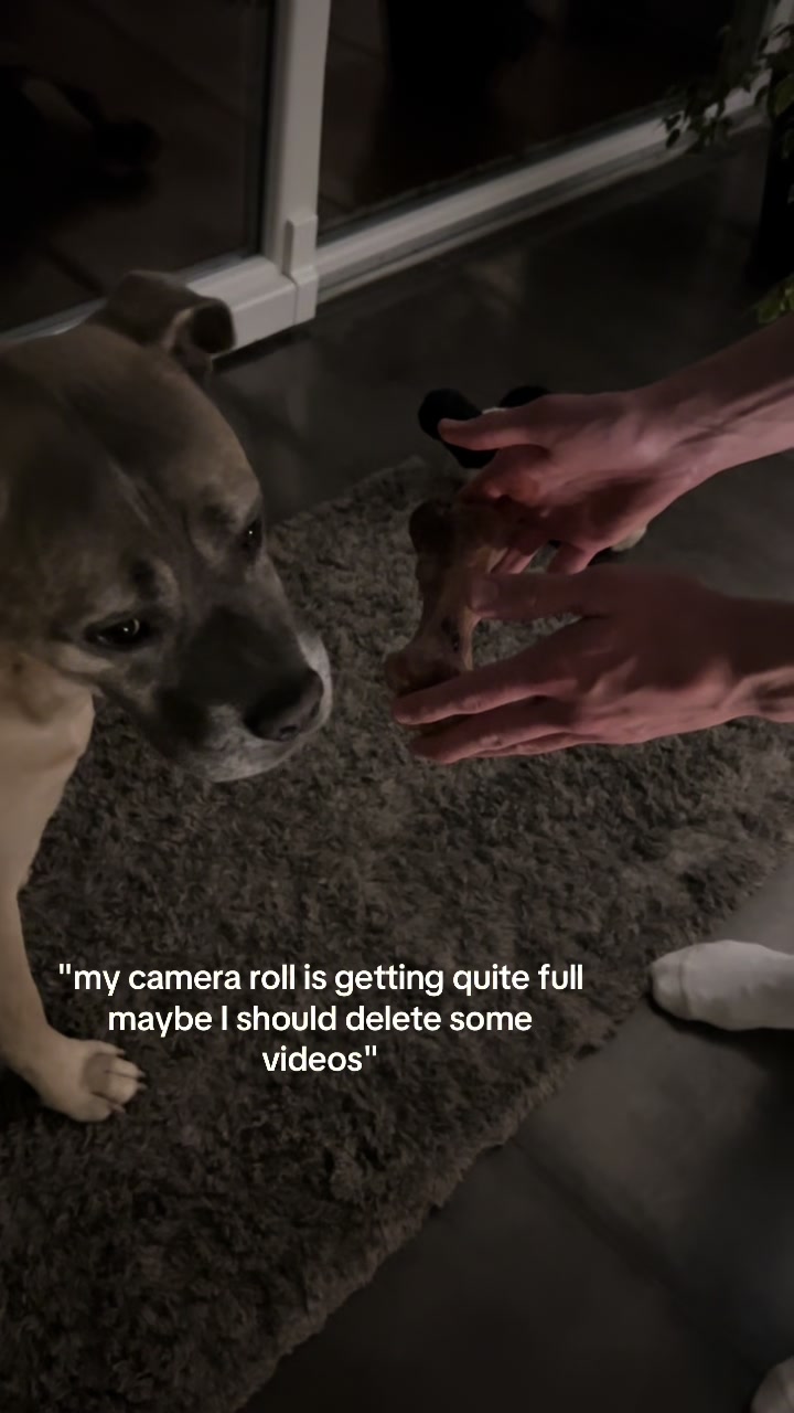 @maezoo