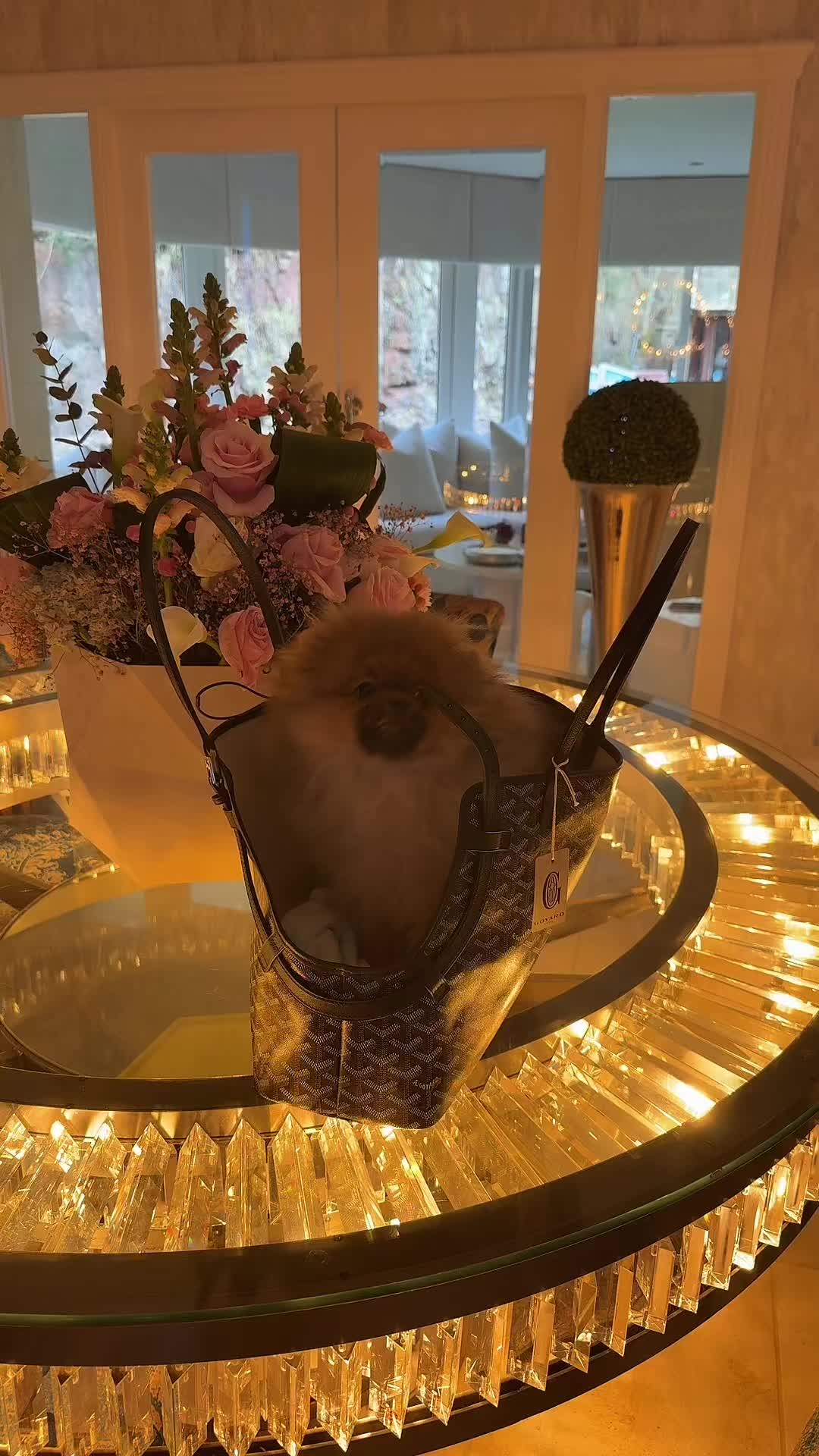 @Georgia🩵🧿😇