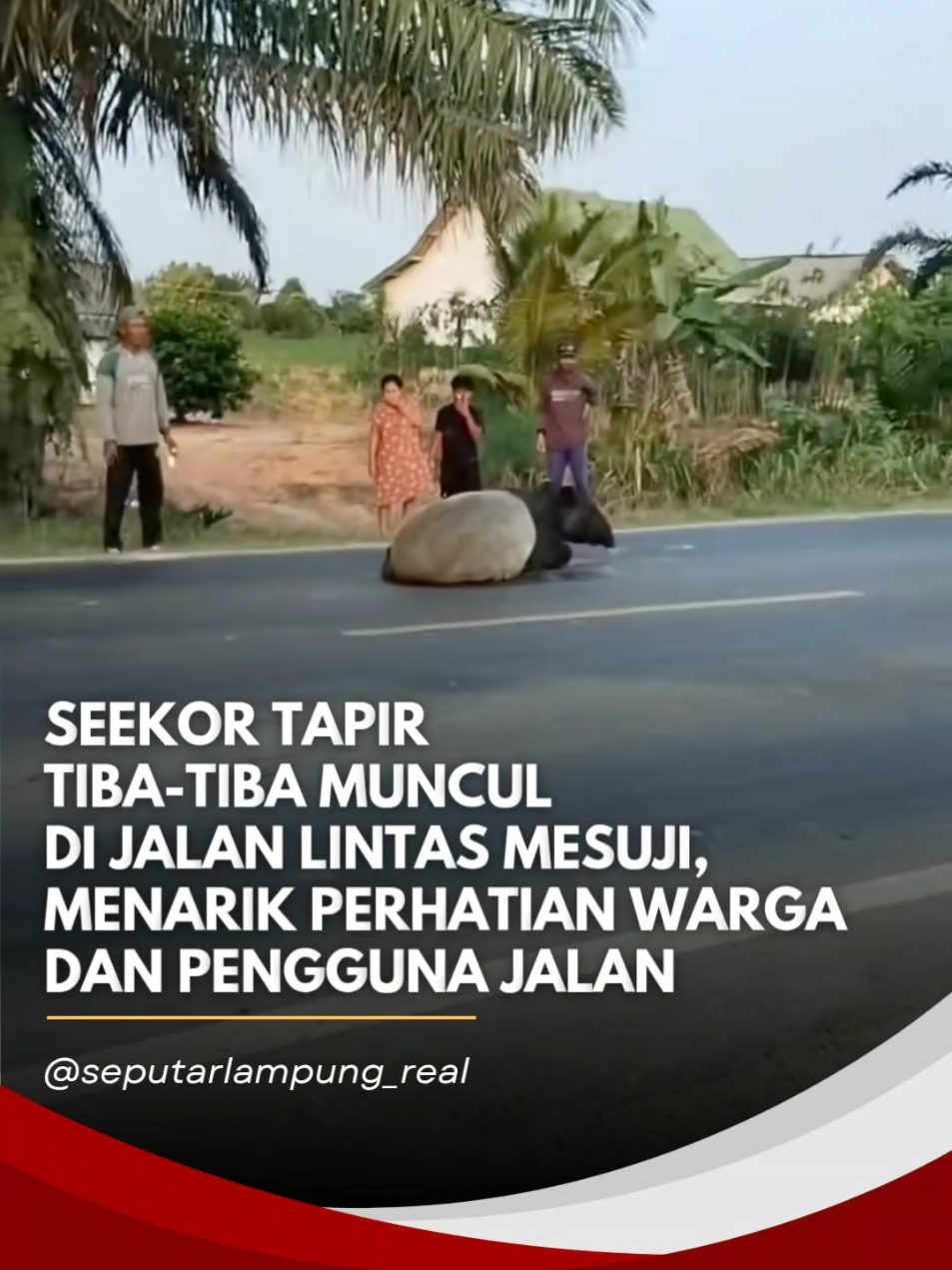 @SEPUTAR LAMPUNG