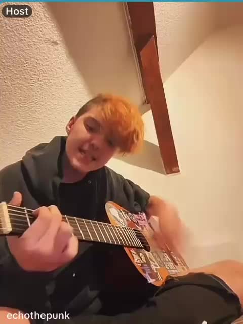 @echothepunk