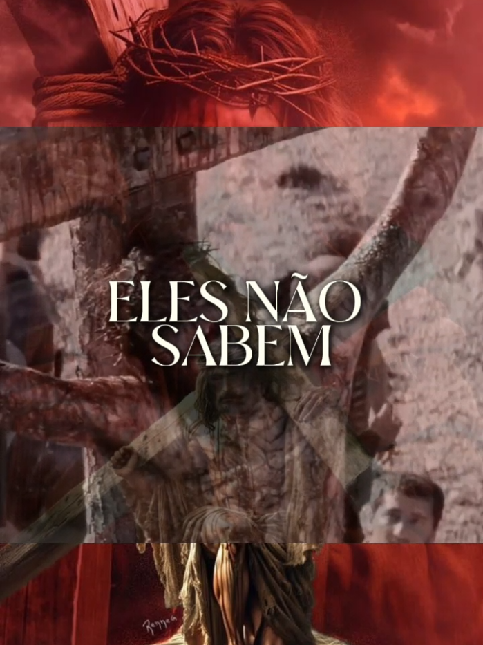 @_felipe_tapajós