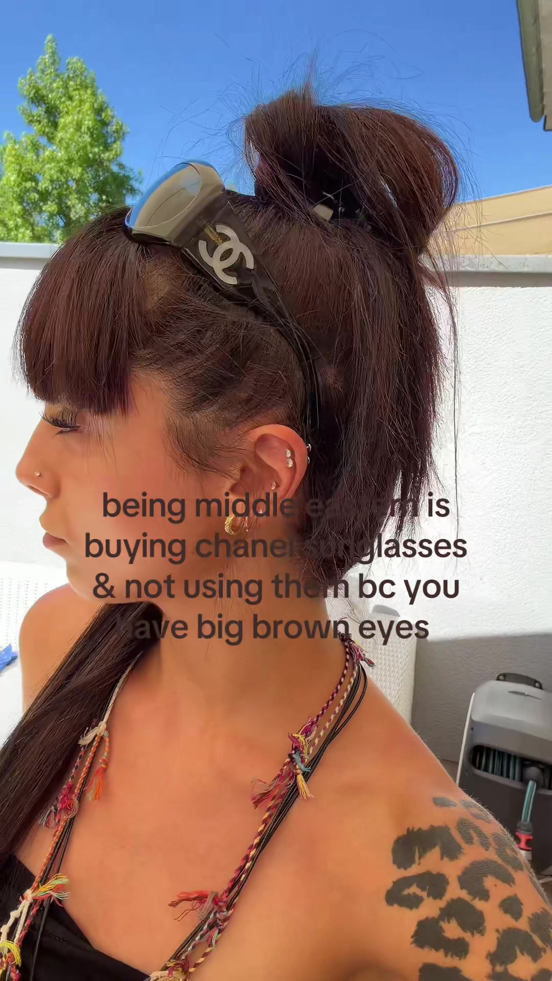 @kitten