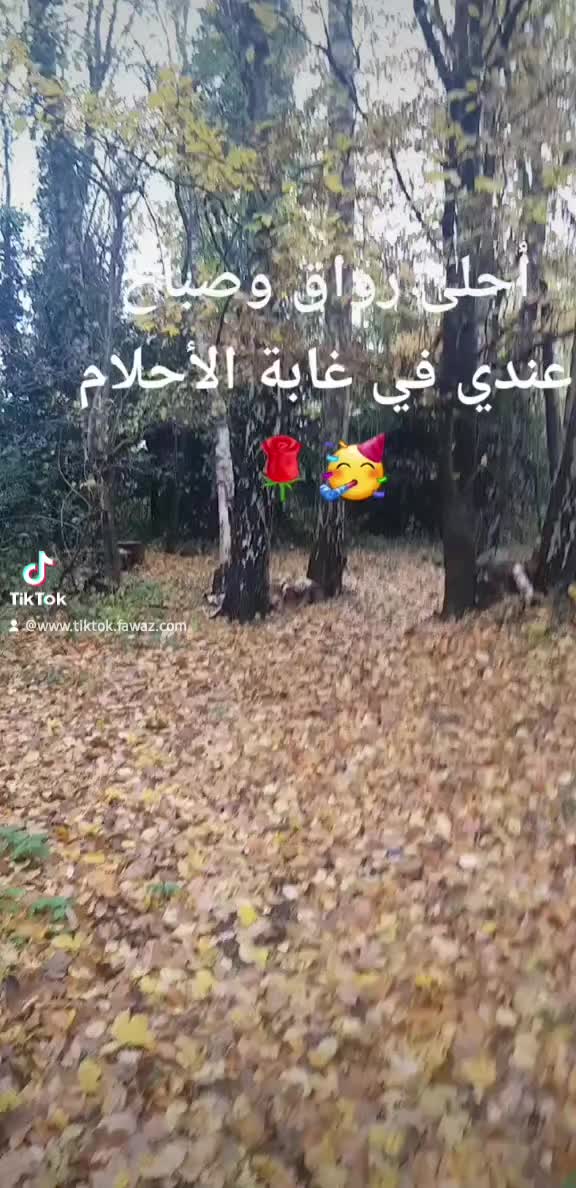 @🇧🇪Belgique فواز🇸🇾