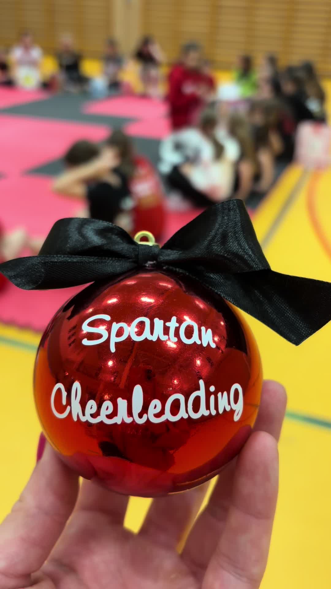@Spartan Cheerleading SE