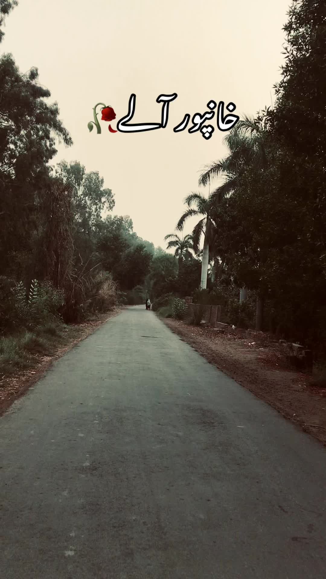 @خانپور آلے🥀