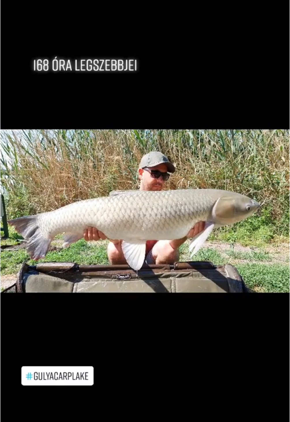 @🇭🇺CarpHunter🎣Dénes🇭🇺