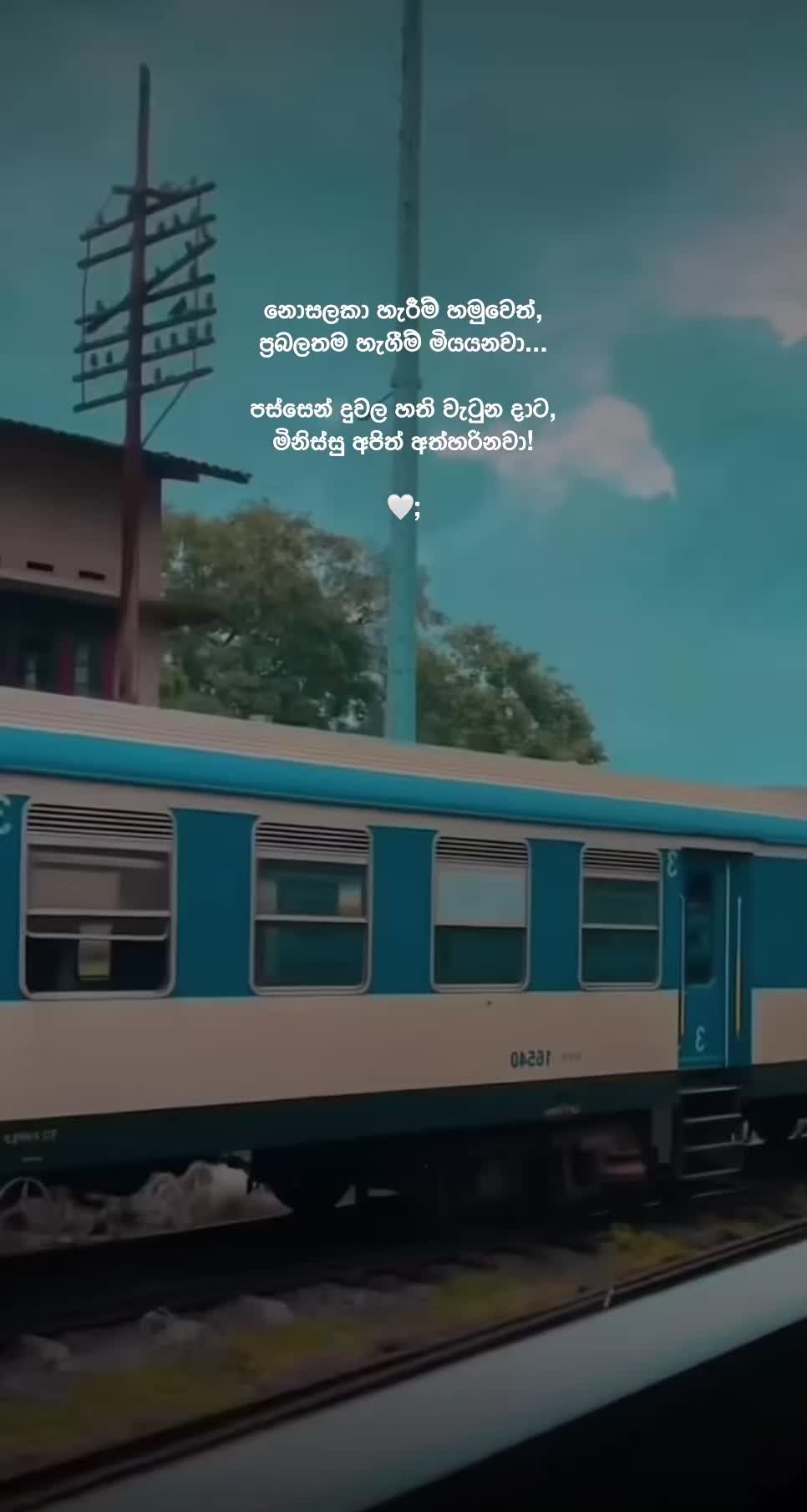 @вloѕѕoм 🤍
