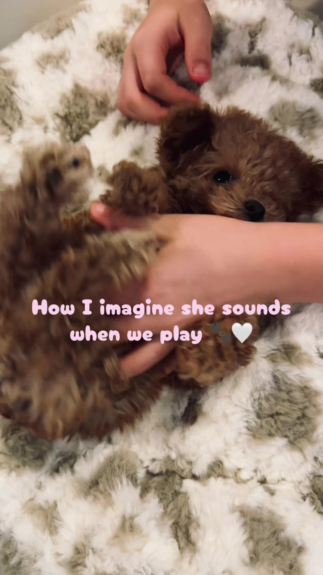 @Hazel Raine 🐾