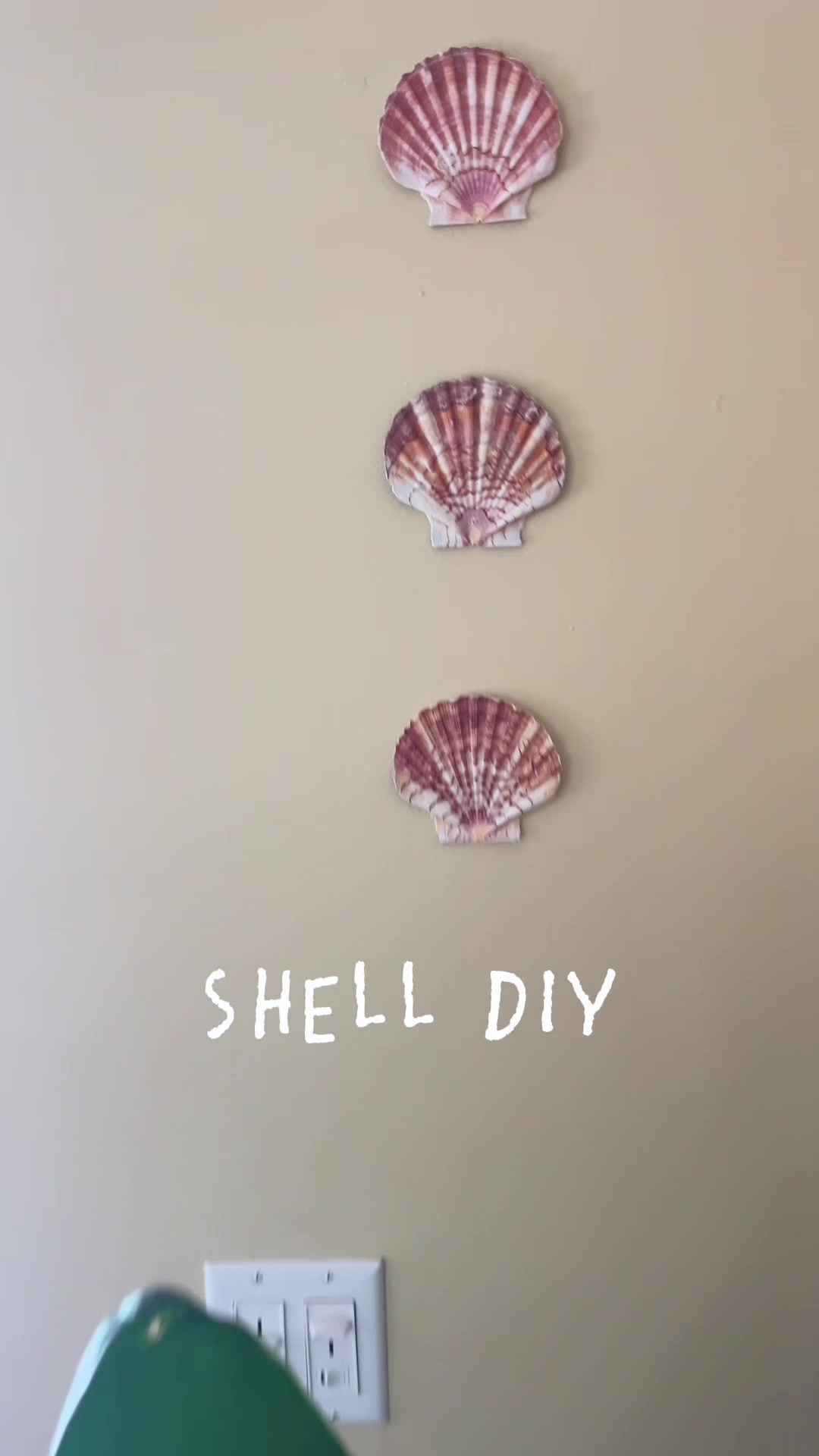 @Anna 🐚