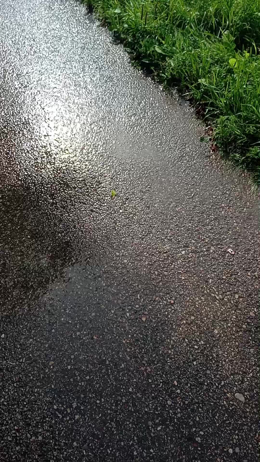 @🅤🅛🅘🅣🅚🅐