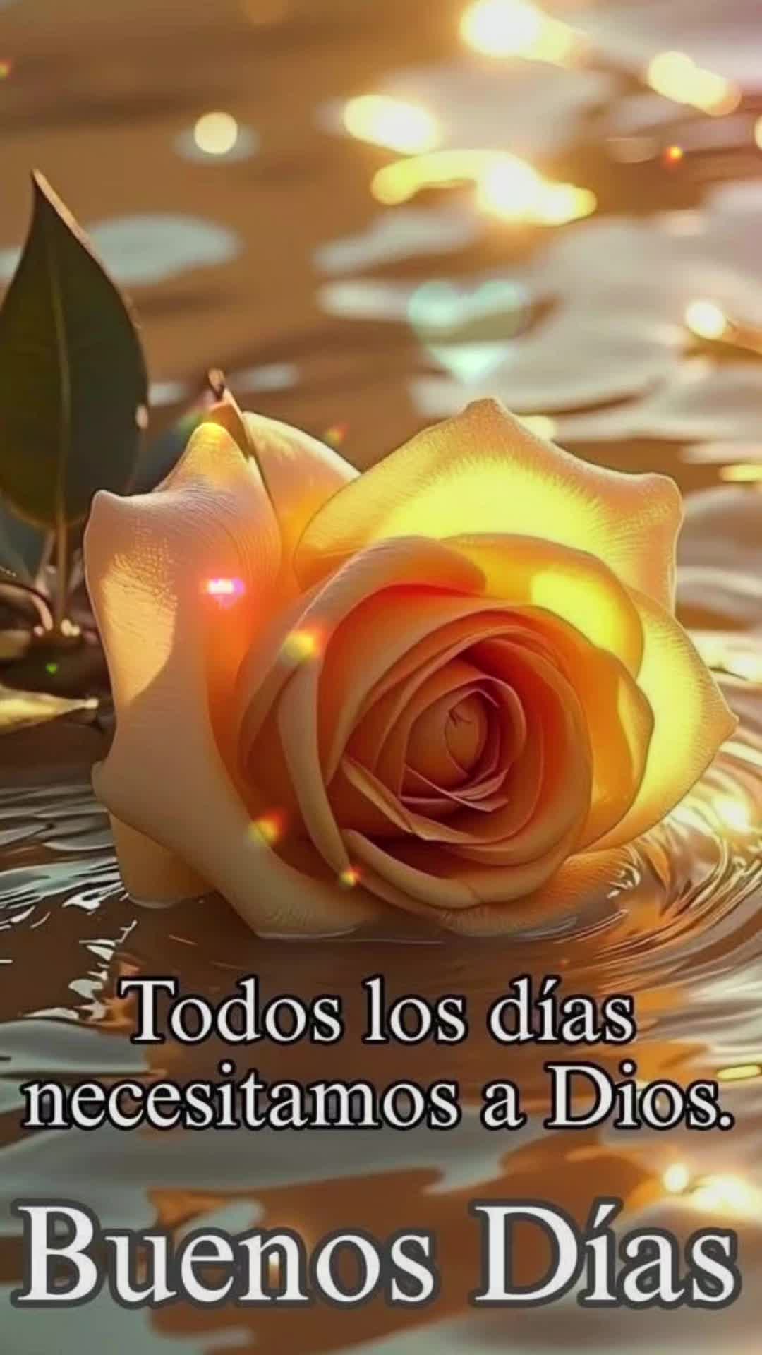 @Coronado Eugenia ๐๐♥๏ธ
