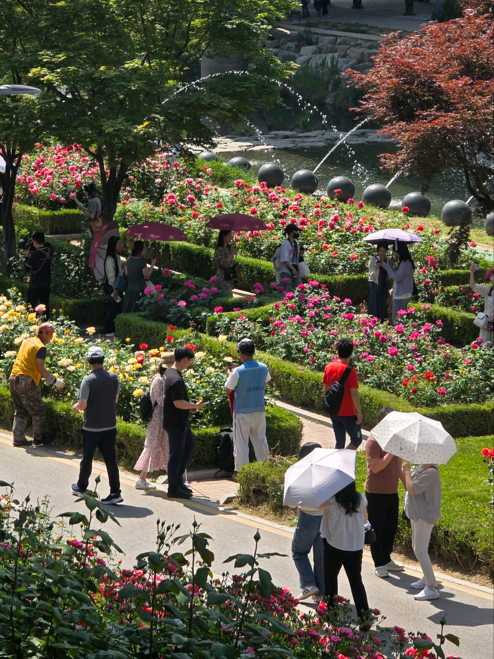 @Lou Ann | Seoul & Travels