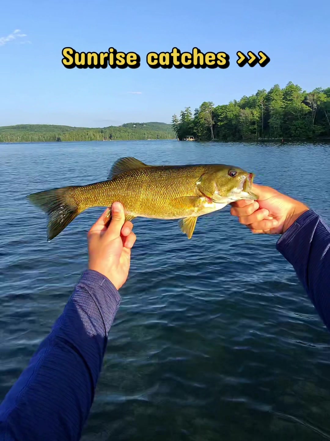 @B. A. Fishing