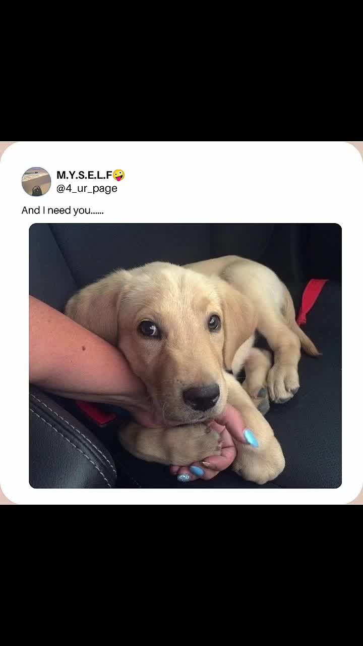 @M.Y.S.E.L.F🤪