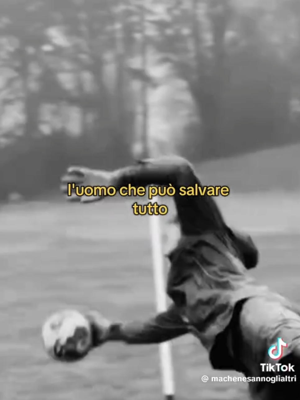 @Francesco Lioce GK