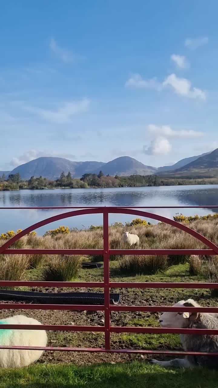 @Visit Galway
