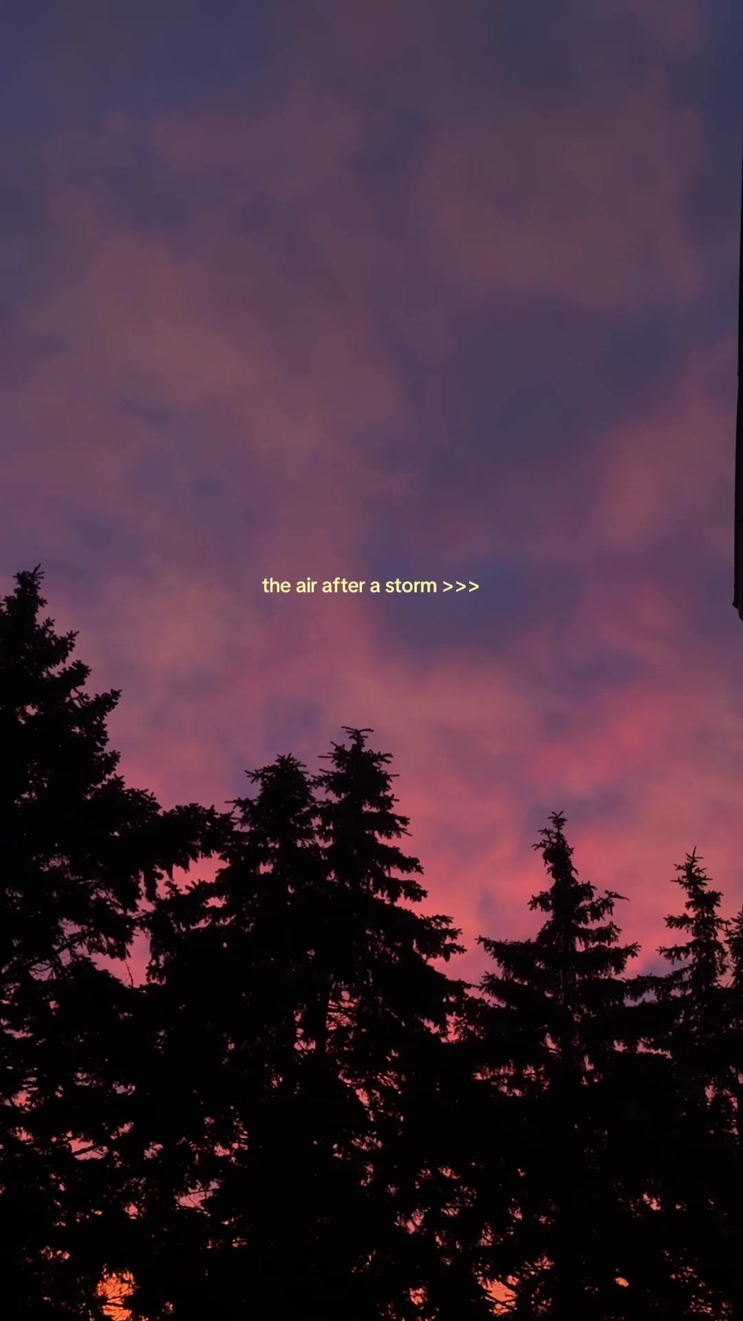 @meg ❁ 🐉🗡️📚
