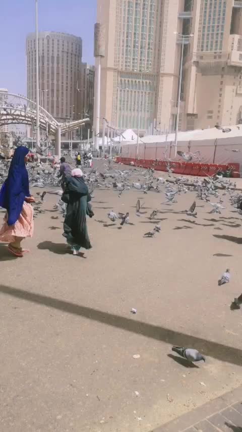 @remedies_with_mehrunisa