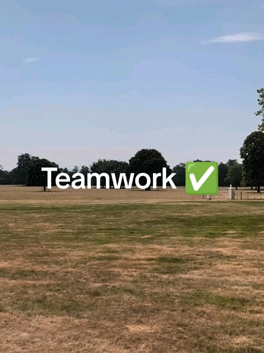 @Teamwork