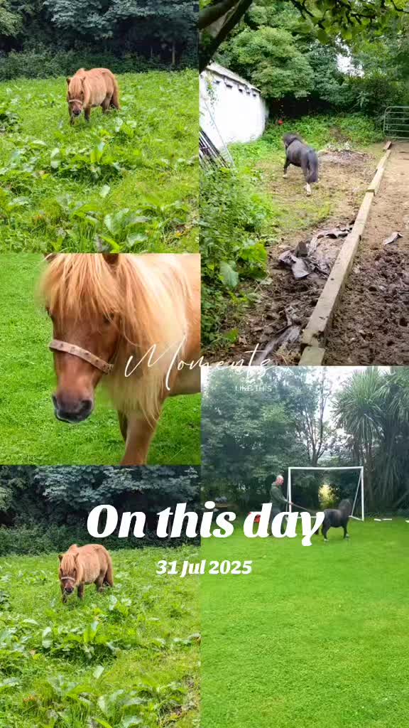@Miss Poppy and friends 🦄💖